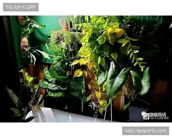 李娜退役后居然把花园养成了小型植物园，明星都羡慕她的私生活奢华程度？