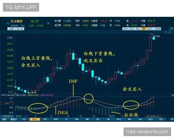 界外判定规则详解：关键判罚标准与实际应用场景解析